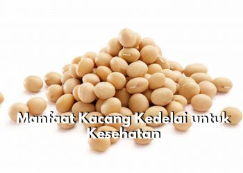 7 Manfaat Utama Kacang Kedelai untuk Kesehatan Tubuh, Cek Sekarang Juga!