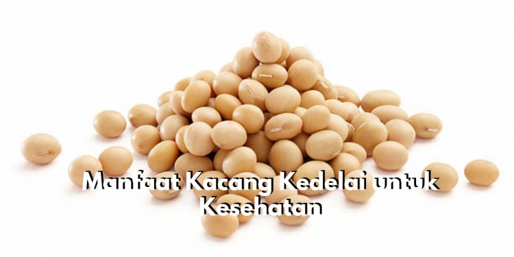 7 Manfaat Utama Kacang Kedelai untuk Kesehatan Tubuh, Cek Sekarang Juga!