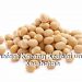 7 Manfaat Utama Kacang Kedelai untuk Kesehatan Tubuh, Cek Sekarang Juga!