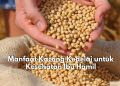 Taukah Kamu? Ternyata Kacang Kedelai Baik di Konsumsi Ibu Hamil, Lihat Manfaatnya Disini!