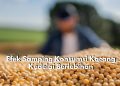 Awas Ini Berbahaya! Cek Efek Samping Konsumsi Kacang Kedelai Berlebihan, Bikin Gagal Diet