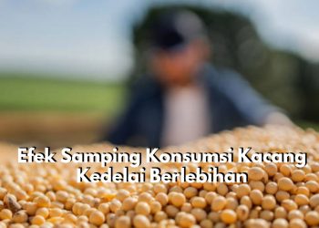 Awas Ini Berbahaya! Cek Efek Samping Konsumsi Kacang Kedelai Berlebihan, Bikin Gagal Diet