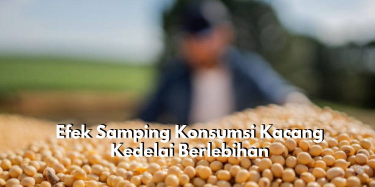 Awas Ini Berbahaya! Cek Efek Samping Konsumsi Kacang Kedelai Berlebihan, Bikin Gagal Diet