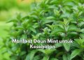Baik untuk Tubuh! Inilah 7 Manfaat yang Tersembunyi dalam Daun Mint untuk Kesehatan