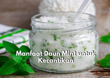 Hempaskan Bekas Jerawat hingga Atasi Komedo, Klaim Manfaat Daun Mint untuk Dunia Kecantikan