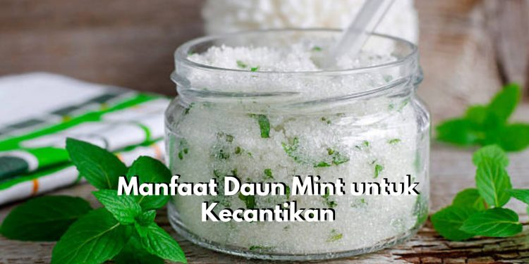 Hempaskan Bekas Jerawat hingga Atasi Komedo, Klaim Manfaat Daun Mint untuk Dunia Kecantikan