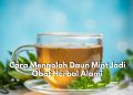 Ada Segudang Cara Sederahana yang Bisa Dicoba untuk Mengolah Daun Mint Jadi Obat Herbal, Paling Populer Teh Daun Mint