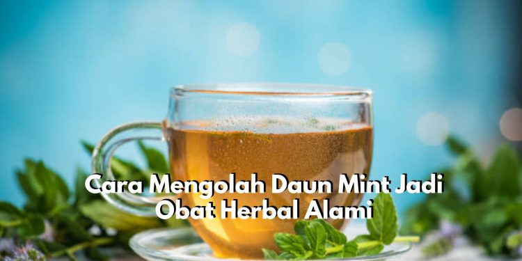 Ada Segudang Cara Sederahana yang Bisa Dicoba untuk Mengolah Daun Mint Jadi Obat Herbal, Paling Populer Teh Daun Mint