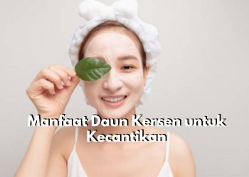Daun Kersen Punya Tawaran Manfaat Istimewa untuk Dunia Kecantikan Kulit, Salah Satunya dapat Atasi Jerawat