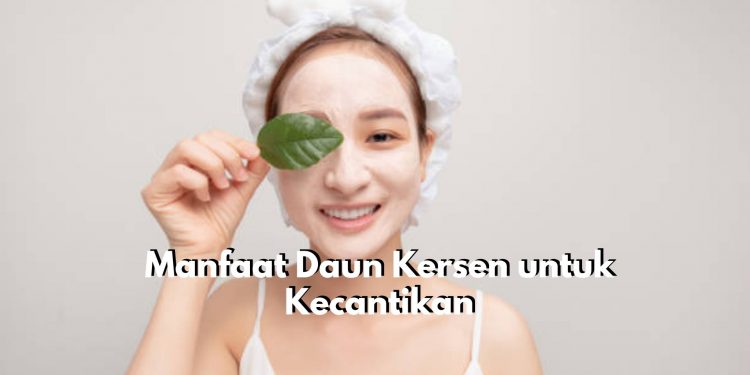 Daun Kersen Punya Tawaran Manfaat Istimewa untuk Dunia Kecantikan Kulit, Salah Satunya dapat Atasi Jerawat