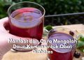 Penderita Diabetes Wajib Tahu Ini! Daun Kersen Berikan Segudang Manfaat dan Cara Mengolahanya Pun Cukup Sederhana, Cek Sekarang Juga!