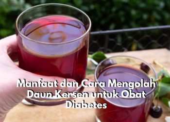 Penderita Diabetes Wajib Tahu Ini! Daun Kersen Berikan Segudang Manfaat dan Cara Mengolahanya Pun Cukup Sederhana, Cek Sekarang Juga!