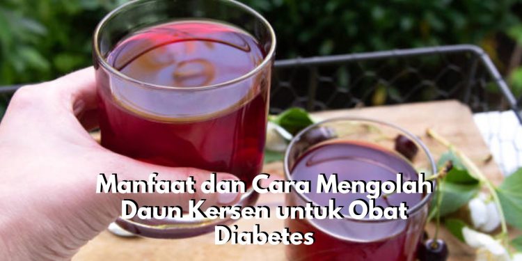 Penderita Diabetes Wajib Tahu Ini! Daun Kersen Berikan Segudang Manfaat dan Cara Mengolahanya Pun Cukup Sederhana, Cek Sekarang Juga!