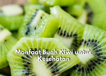 Yuk, Jaga Kesehatan Tubuh dengan Mengonsumsi Buah Kiwi, Salah Satunya dapat Menstabilkan Imun Tubuh