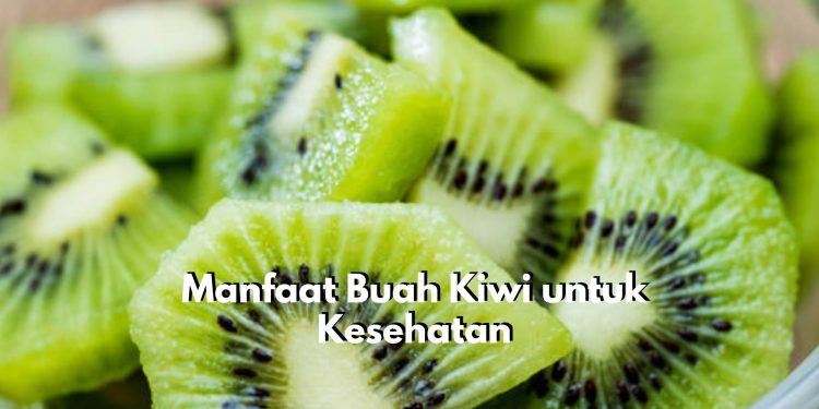 Yuk, Jaga Kesehatan Tubuh dengan Mengonsumsi Buah Kiwi, Salah Satunya dapat Menstabilkan Imun Tubuh