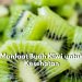 Yuk, Jaga Kesehatan Tubuh dengan Mengonsumsi Buah Kiwi, Salah Satunya dapat Menstabilkan Imun Tubuh