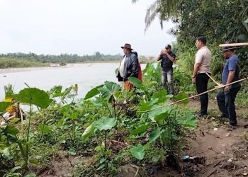 Bupati Bengkulu Selatan Turun Tangan, Tinjau Abrasi Sungai dan Jalan Putus di Desa Sukarami