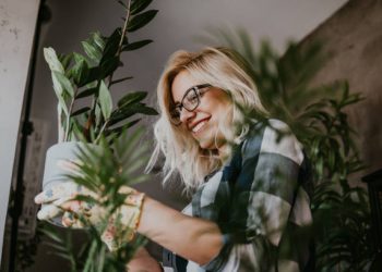 9 Tanaman Ini Dipercaya Pembawa Kekayaan Bagi Penanamnya, Cek di Sini