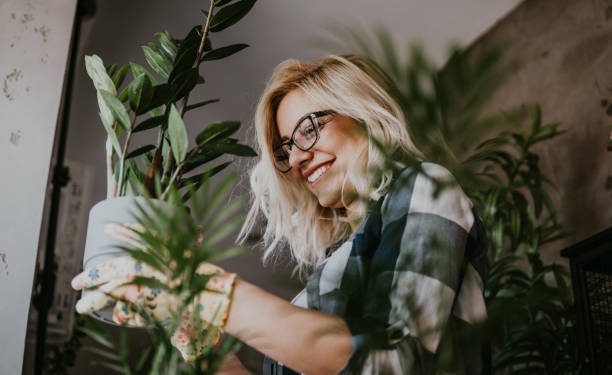 9 Tanaman Ini Dipercaya Pembawa Kekayaan Bagi Penanamnya, Cek di Sini