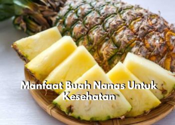 Ada 7 Tawaran Manfaat Istimewa yang Dapat Dirasakan Tubuh Setelah Mengonsumsi Buah Nanas, Bisa Tingkatkan Kesuburan