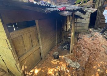 Kondisi Memprihatinkan Rumah Balita Penderita Cacingan di Seluma, Hidup di Lingkungan Tidak Layak