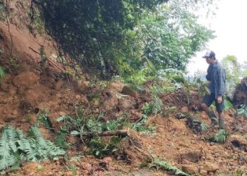 Jalur Bengkulu Selatan–Lahat Lumpuh Akibat Tanah Longsor, Polisi Imbau Cari Jalur Alternatif