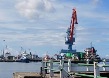 Nilai Ekspor Bengkulu Turun Drastis, Juli 2025 Hanya 71,84 Persen