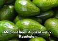 8 Manfaat Alpukat bagi Tubuh, Dapat Mengontrol Tekanan Darah