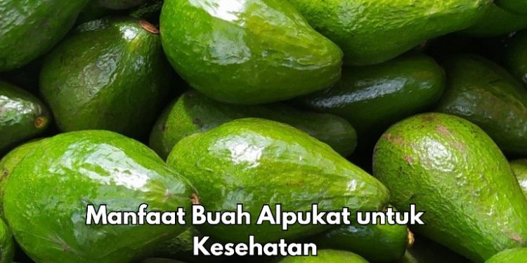 8 Manfaat Alpukat bagi Tubuh, Dapat Mengontrol Tekanan Darah