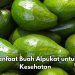 8 Manfaat Alpukat bagi Tubuh, Dapat Mengontrol Tekanan Darah