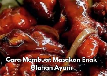 Cara Mudah Membuat Olahan Ayam Enak di Sini, Bisa Jadi Menu sehari-hari