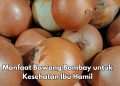 Ini Manfaat Lain Bawang Bombay bagi Ibu Hamil, Mampu Mengatur Tekanan Darah