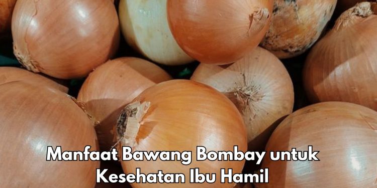Ini Manfaat Lain Bawang Bombay bagi Ibu Hamil, Mampu Mengatur Tekanan Darah