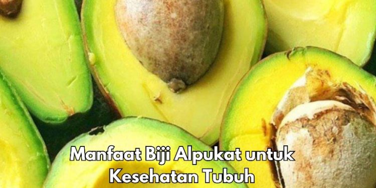 Cek Manfaat Lain Biji Alpukat di Sini, Dapat Menurunkan Kolesterol