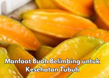 6 Manfaat Buah Belimbing bagi Tubuh, Bisa Menurunkan Berat Badan, Cek di Sini