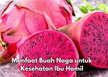 6 Manfaat Buah Naga untuk Bumil, Cek di Sini! Dipercaya Dapat Melawan Infeksi