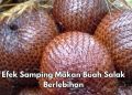 Efek Samping Konsumsi Buah Salak, Konsumsi Berlebihan Dapat Sebabkan Sembelit