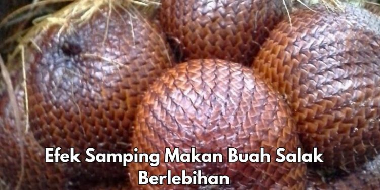 Efek Samping Konsumsi Buah Salak, Konsumsi Berlebihan Dapat Sebabkan Sembelit