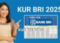 Cek Disini, Syarat Pengajuan Pinjaman KUR BRI September 2025, Jangan Lupa Siapkan Dokumennya!