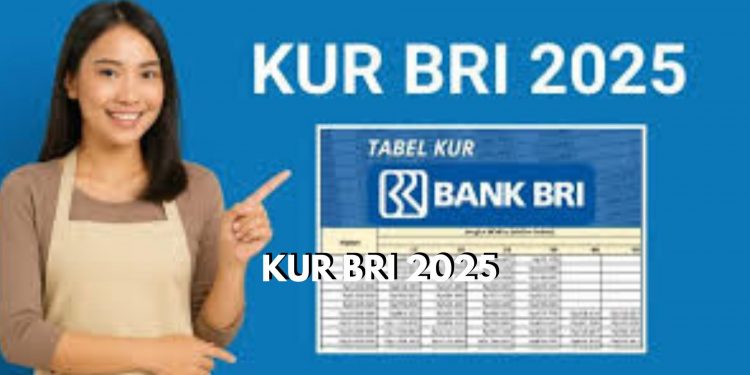 Cek Disini, Syarat Pengajuan Pinjaman KUR BRI September 2025, Jangan Lupa Siapkan Dokumennya!