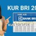 Cek Disini, Syarat Pengajuan Pinjaman KUR BRI September 2025, Jangan Lupa Siapkan Dokumennya!