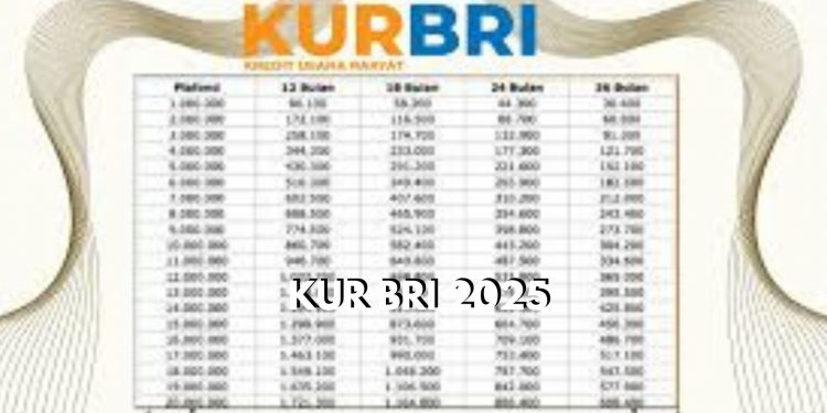 Ini Rincian Angsuran KUR BRI September 2025, Pinjaman Rp50 Jutaan dengan Cicilan Rp1 Jutaan