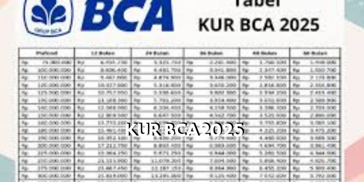 Tabel Angsuran KUR BCA 2025 dengan Plafon Rp10 Juta hingga Rp100 Juta, Cek Ketentuan Tenornya!