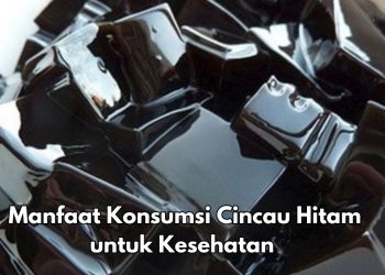 Cek 7 Manfaat Konsumsi Cincau Hitam Sehari-hari, Dipercaya Dapat Menurunkan Kolesterol Darah
