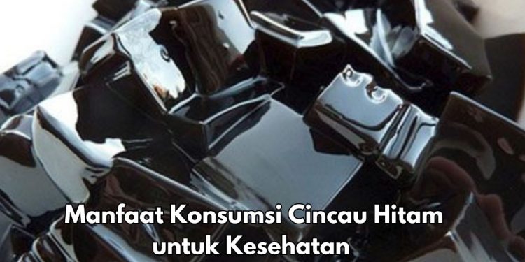 Cek 7 Manfaat Konsumsi Cincau Hitam Sehari-hari, Dipercaya Dapat Menurunkan Kolesterol Darah
