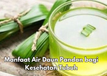 Manfaat Konsumsi Air Daun Pandan bagi Tubuh, Cek di Sini! Kaya Kandungan Antioksidan