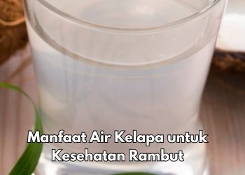 Pakai Air Kelapa Bisa Menguatkan Akar Rambut, Cek Manfaat Lainnya di Sini