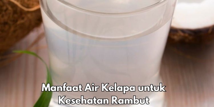 Pakai Air Kelapa Bisa Menguatkan Akar Rambut, Cek Manfaat Lainnya di Sini