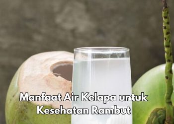 Bisa Cegah Rambut Rontok, Ini Manfaat Air Kelapa Sehari-hari, Makin Sehat Alami