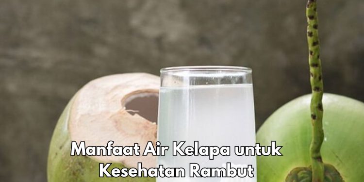 Bisa Cegah Rambut Rontok, Ini Manfaat Air Kelapa Sehari-hari, Makin Sehat Alami